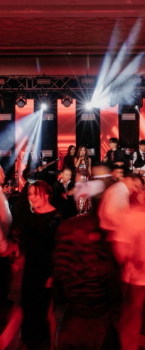 SOLIDCORE ENGENEERING: КАНСКИЕ ЛЬВЫ