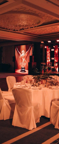 SOLIDCORE ENGENEERING: КАНСКИЕ ЛЬВЫ